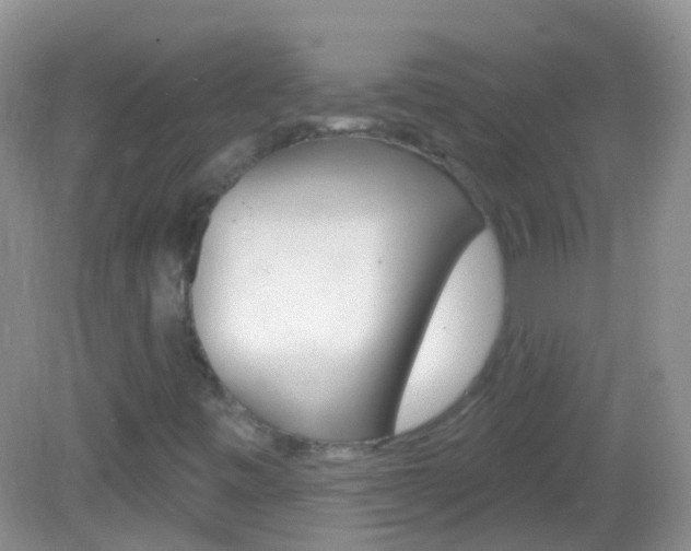 X0000082981443200702011156