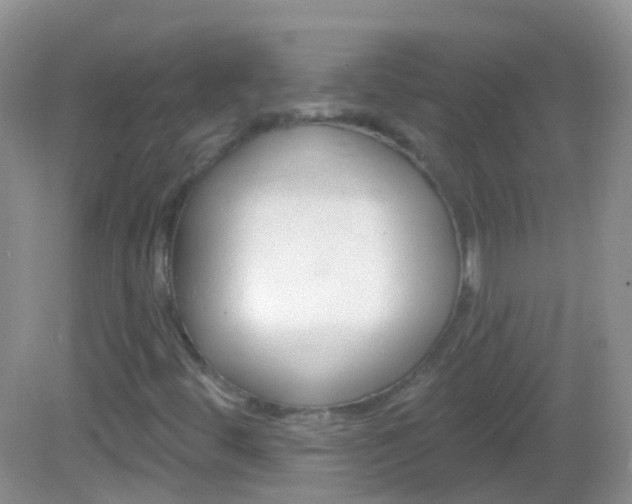 X0000082981444200702011156