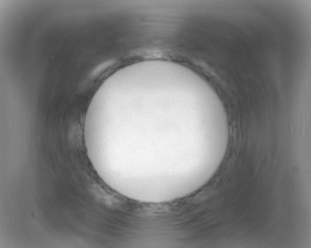X0000082981446200702011156