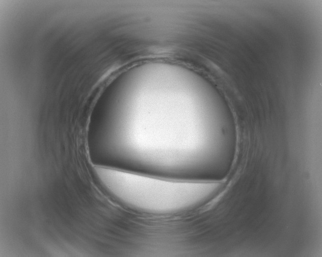 X0000082981449200702011156