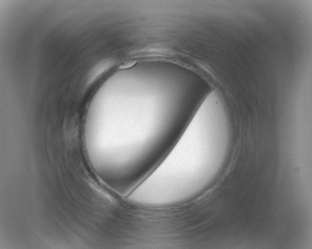 X0000082981450200702011156