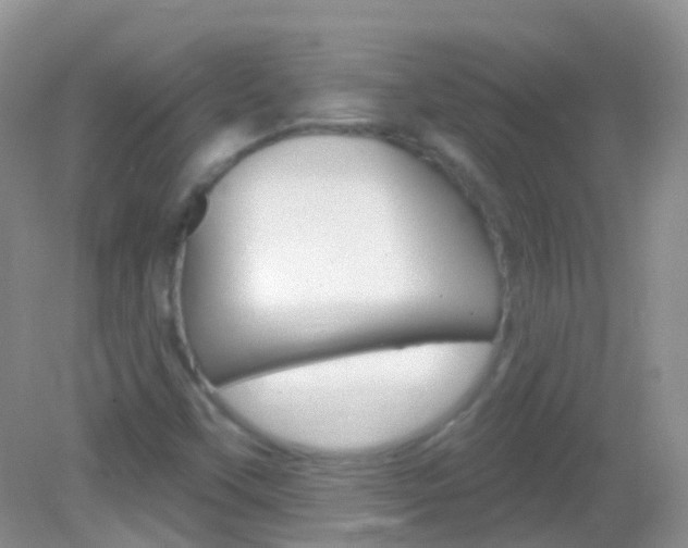 X0000082981451200702011156