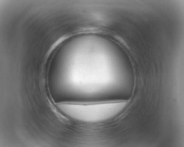 X0000082981458200702011156