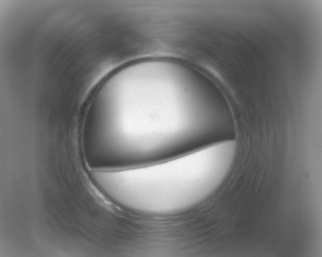 X0000082981460200702011156
