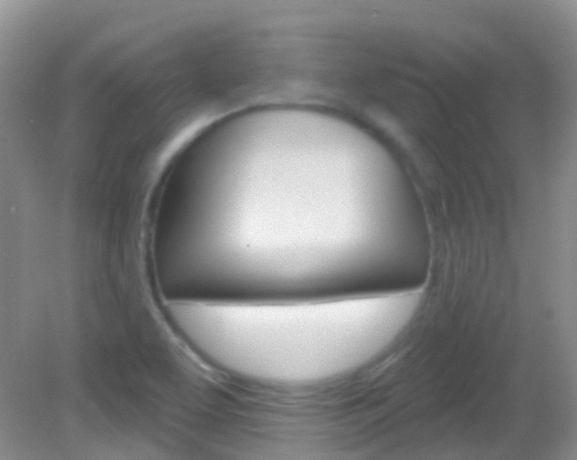 X0000082981463200702011156
