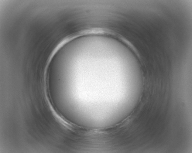 X0000082981475200702011155