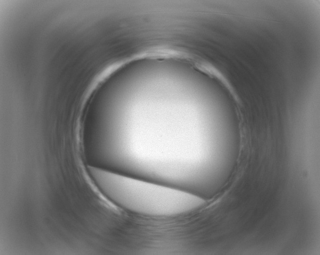 X0000082981477200702011155