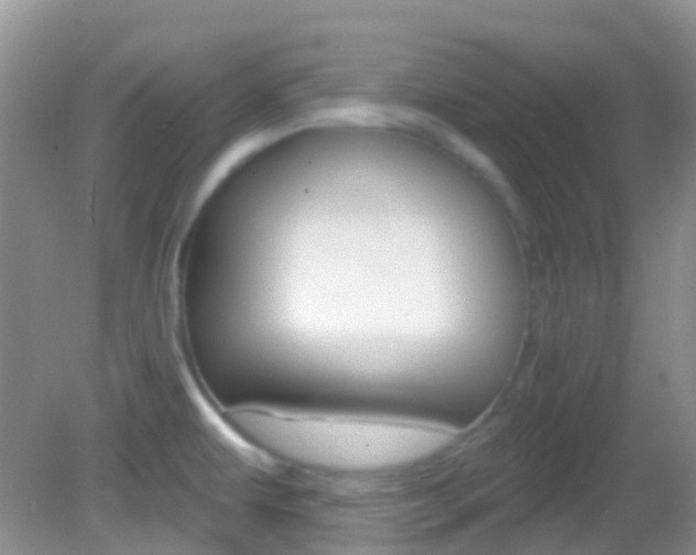 X0000082981479200702011155