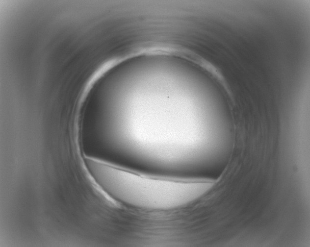 X0000082981480200702011155