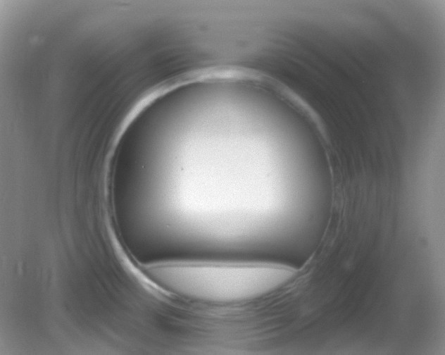 X0000082981483200702011155