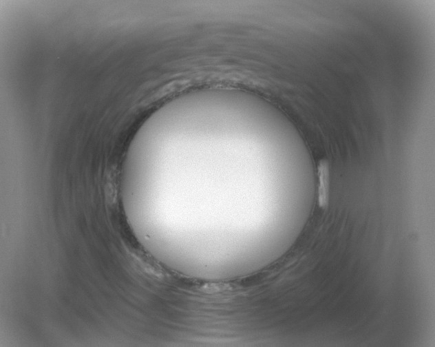 X0000082981491200702011154
