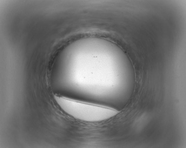 X0000082981493200702011154