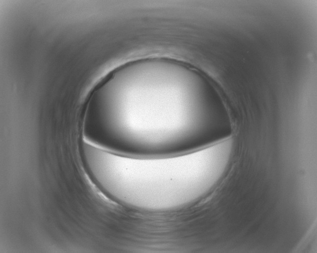 X0000082981500200702011154