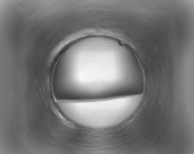 X0000082981503200702011155