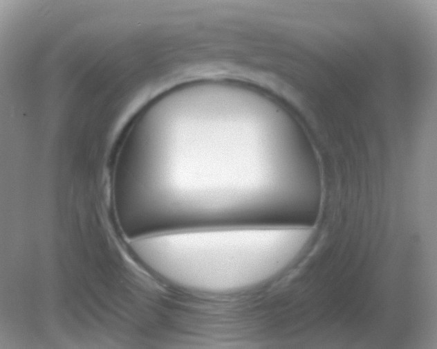 X0000082981509200702011155
