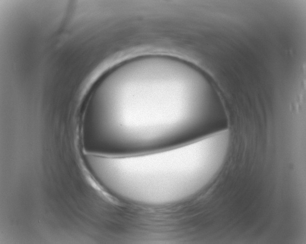 X0000082981511200702011155