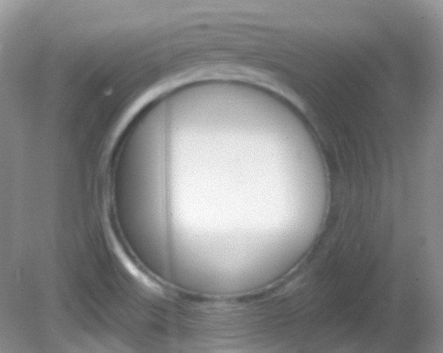 X0000082981515200702011155