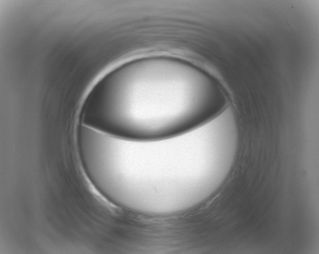 X0000082981516200702011155