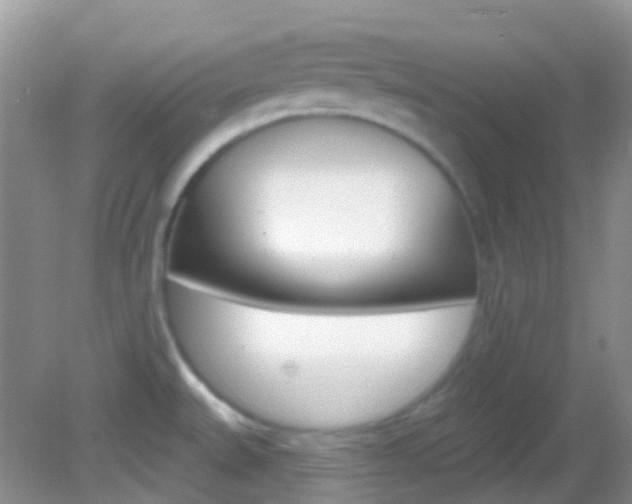 X0000082981527200702011155