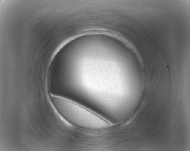 X0000082981533200702011155