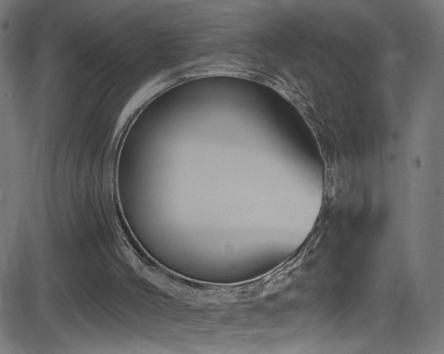 X0000082980004200702011435