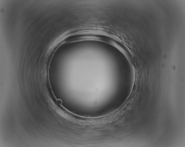 X0000082980005200702011435