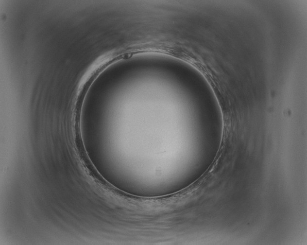 X0000082980006200702011435