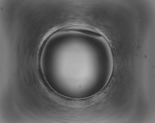 X0000082980008200702011435