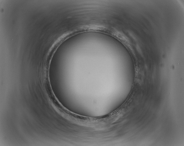 X0000082980012200702011435
