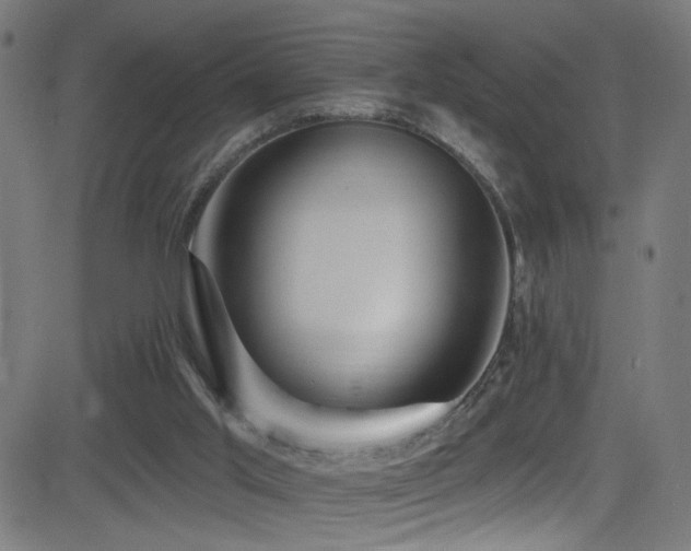 X0000082980013200702011435