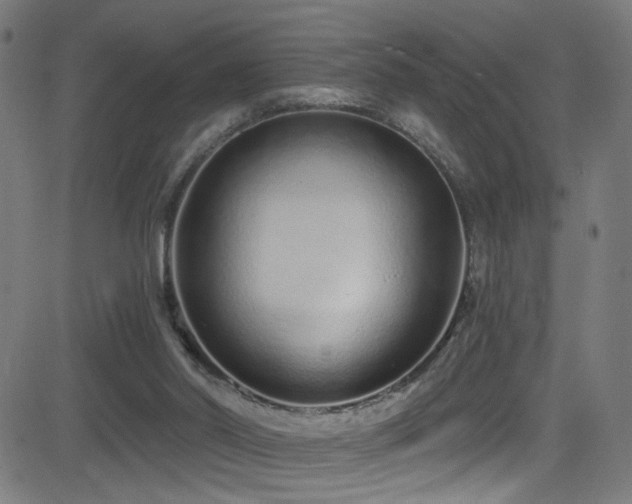 X0000082980014200702011435