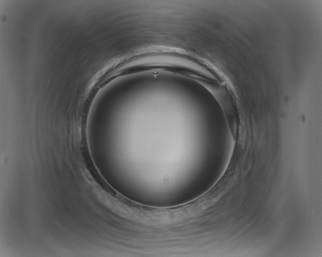 X0000082980015200702011435