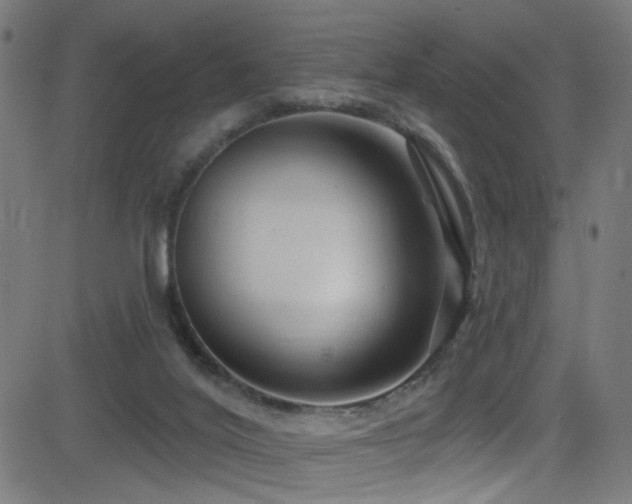 X0000082980020200702011435