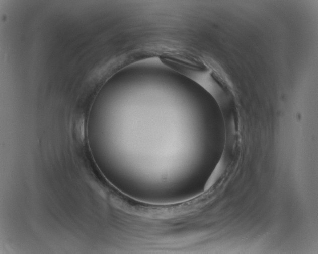 X0000082980021200702011434