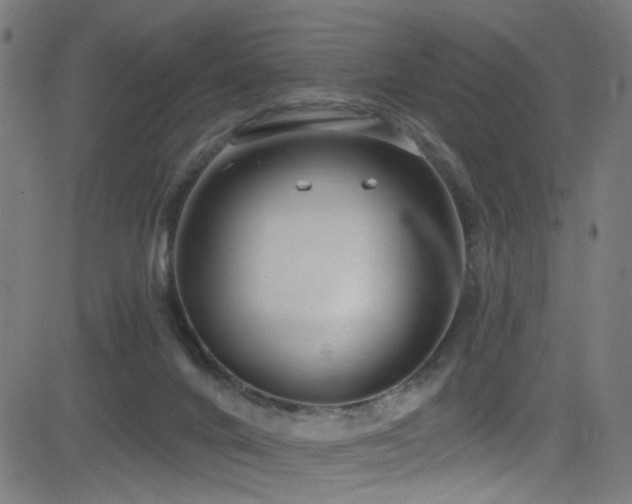 X0000082980024200702011434