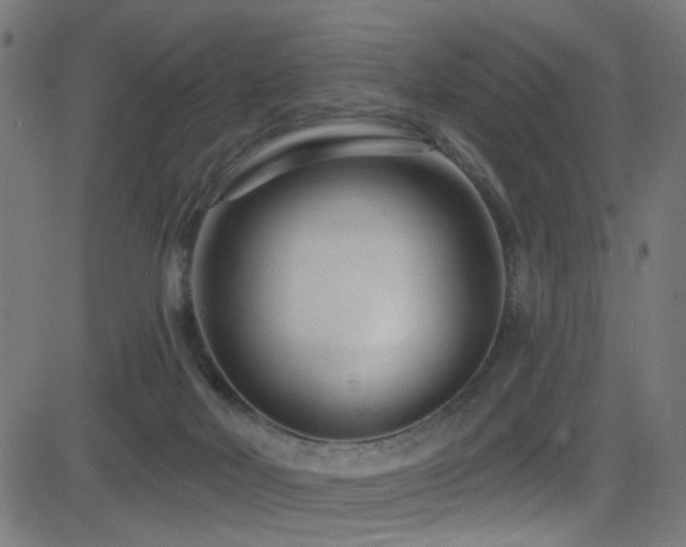 X0000082980026200702011434