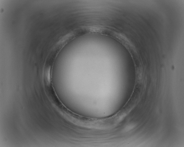 X0000082980028200702011434