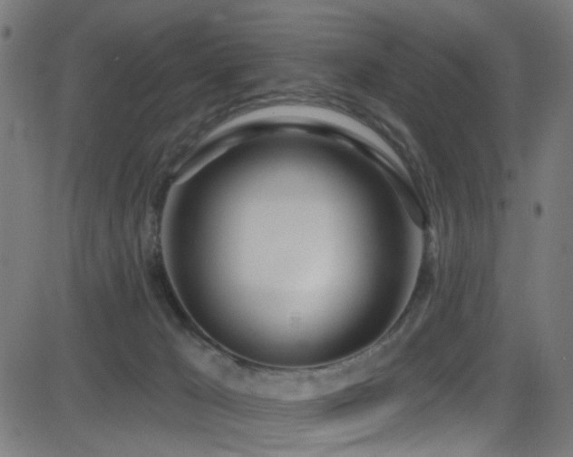 X0000082980029200702011434