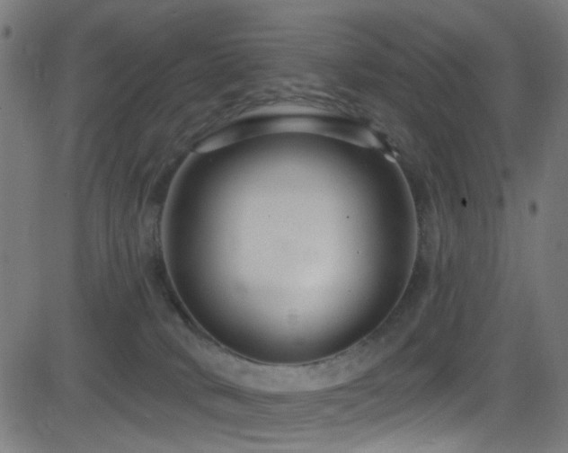 X0000082980034200702011434