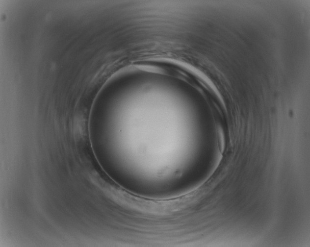 X0000082980035200702011434