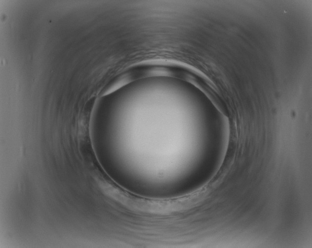 X0000082980037200702011434