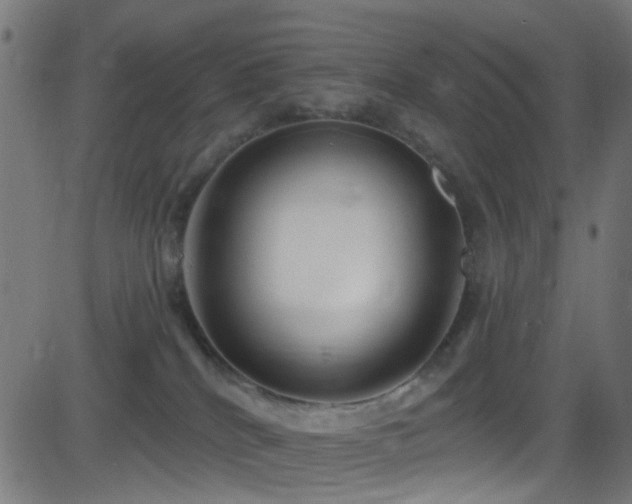 X0000082980040200702011434