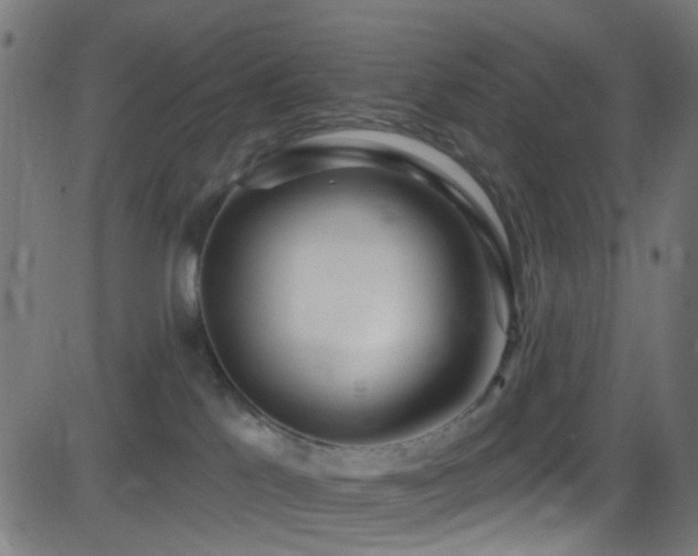 X0000082980041200702011434