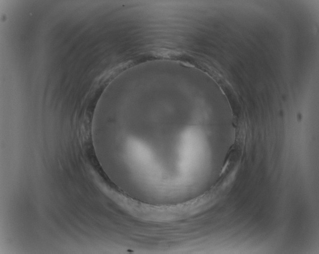 X0000082980043200702011434