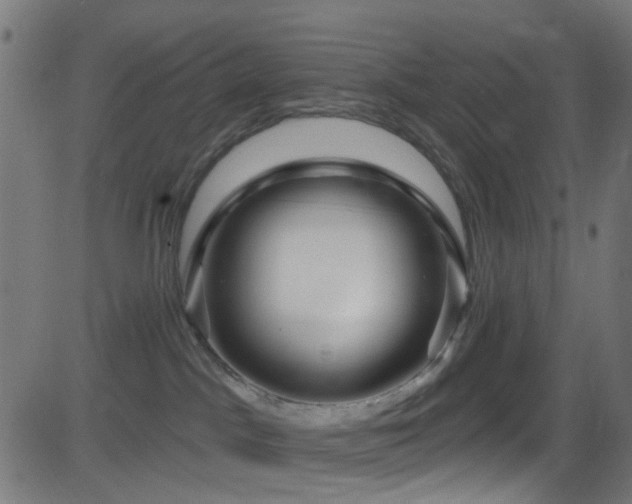 X0000082980045200702011434