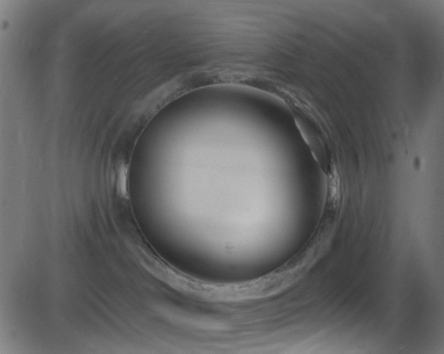 X0000082980046200702011434