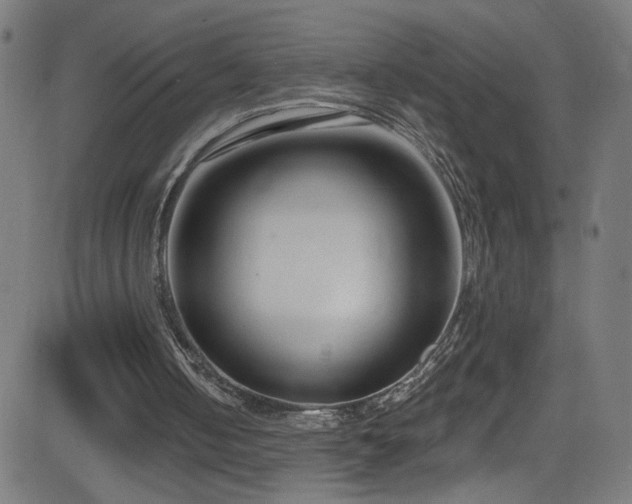 X0000082980050200702011433