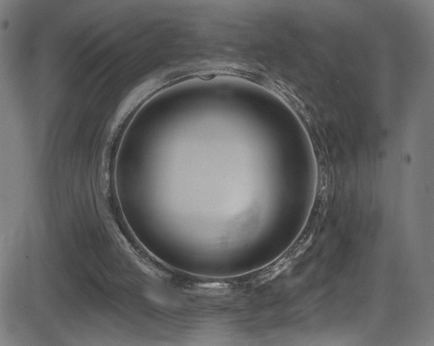 X0000082980053200702011433