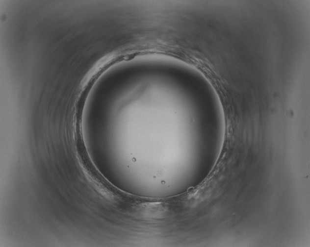 X0000082980054200702011433