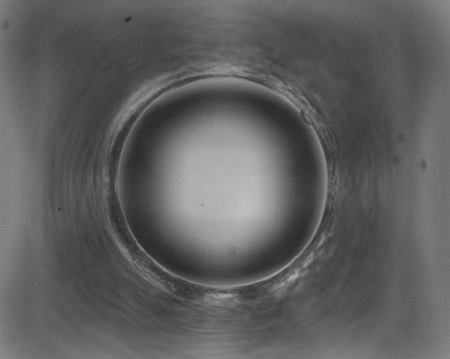 X0000082980055200702011433